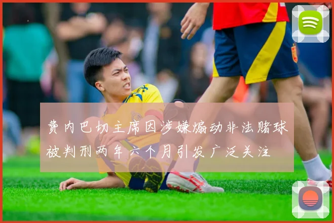 费内巴切主席因涉嫌煽动非法赌球被判刑两年六个月引发广泛关注