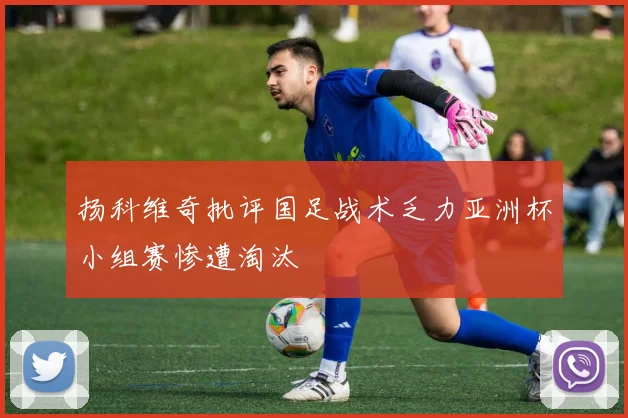 扬科维奇批评国足战术乏力亚洲杯小组赛惨遭淘汰