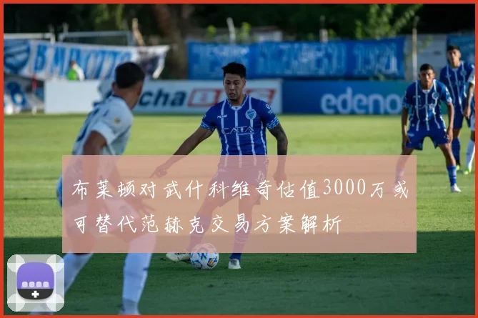 布莱顿对武什科维奇估值3000万或可替代范赫克交易方案解析