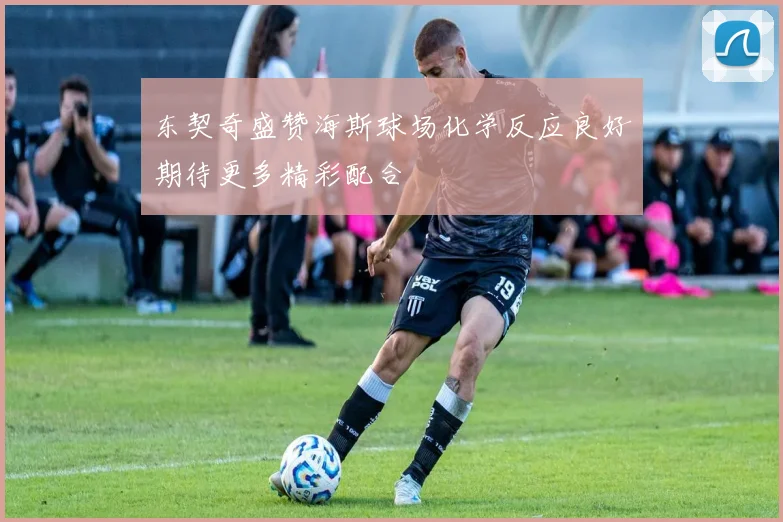 东契奇盛赞海斯球场化学反应良好期待更多精彩配合
